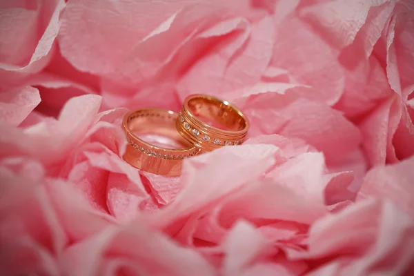Anel de casamento em flores fundo — Fotografia de Stock