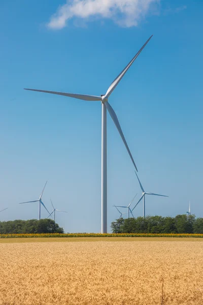 Ветроэлектростанция Альтернативная энергия Вертушки на голубом небе с кукурузным полем — стоковое фото