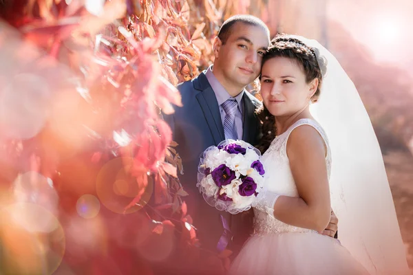 Bride and groom in the autumn park — Stock Photo, Image