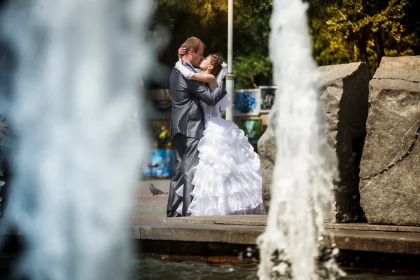 Bride and groom. Wedding walk — Stock Photo, Image