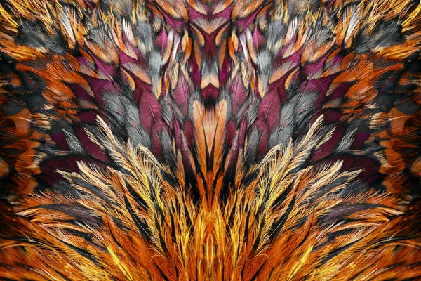 Grupo de plumas marrón brillante — Foto de Stock