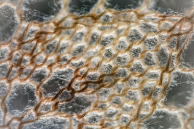 Knitting background texture