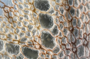 Knitting background texture