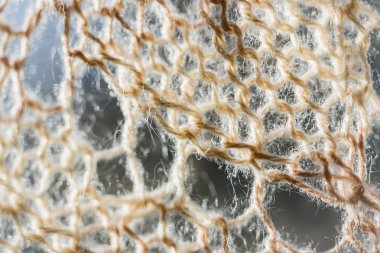 Knitting background texture