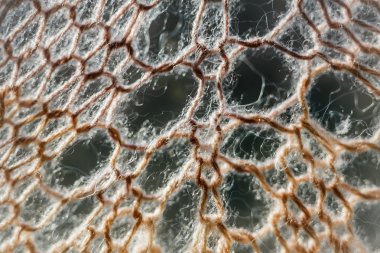 Knitting background texture
