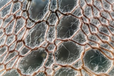 Knitting background texture