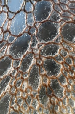 Knitting background texture