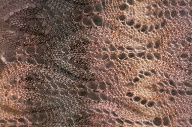 Knitting background texture