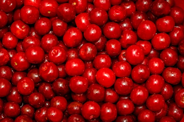 Sweet red cherry background — Stock Photo, Image