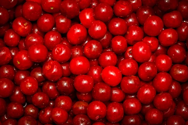 Sweet red cherry background — Stock Photo, Image
