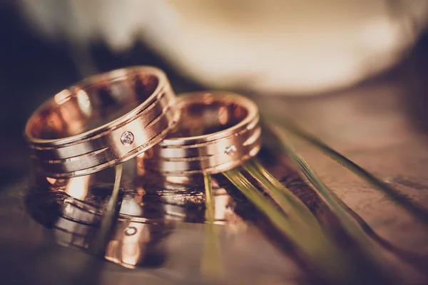 Concepto de boda - anillos de boda y tulipanes blancos — Foto de Stock