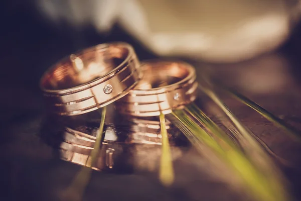 Conceito de casamento - alianças de casamento e tulipas brancas — Fotografia de Stock