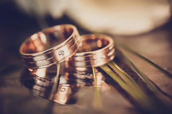 Concepto de boda - anillos de boda y tulipanes blancos —  Fotos de Stock