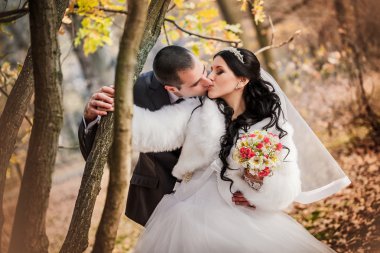 damat ve gelin sonbahar Park yakınında ağaçlar Sarı yaprakları ile yürümek