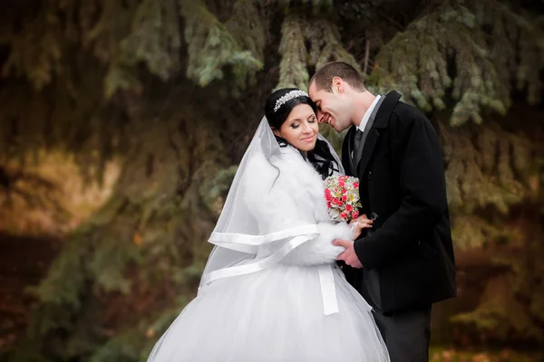 Noivo e a noiva durante a caminhada em seu dia do casamento — Fotografia de Stock