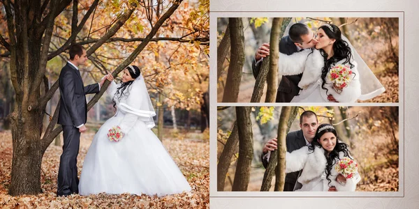 Der Bräutigam und die Braut im Herbstpark gehen in der Nähe von Bäumen mit gelben Blättern spazieren — Stockfoto