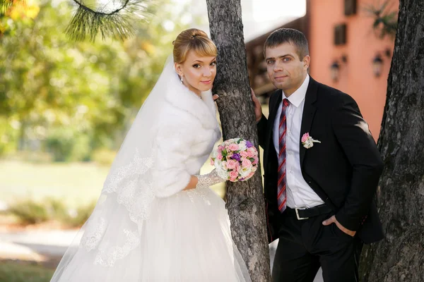 Novio y la novia en el parque de otoño — Foto de Stock