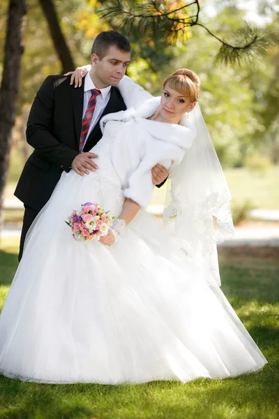 Sposo e la sposa nel parco di autunno — Foto Stock
