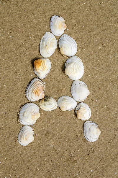 Ábécé készült tengeri kagyló zökkenőmentes homok háttér — Stock Fotó