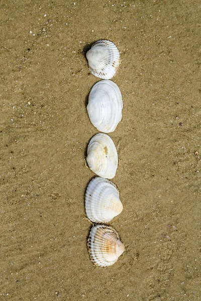 Alfabeto fatto con conchiglie di mare su fondo di sabbia senza soluzione di continuità — Foto Stock