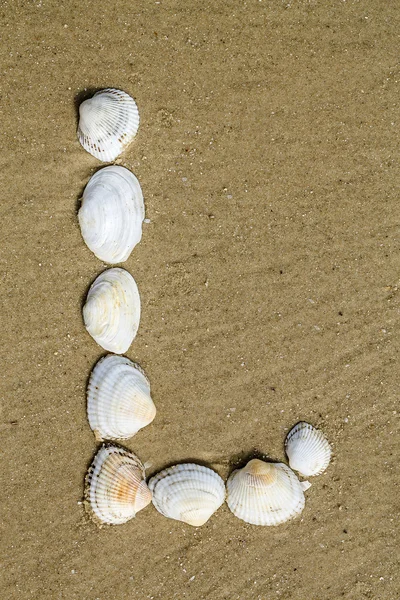 Alfabeto fatto con conchiglie di mare su fondo di sabbia senza soluzione di continuità — Foto Stock