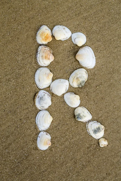 Alfabeto feito usando conchas do mar sobre fundo de areia sem costura — Fotografia de Stock