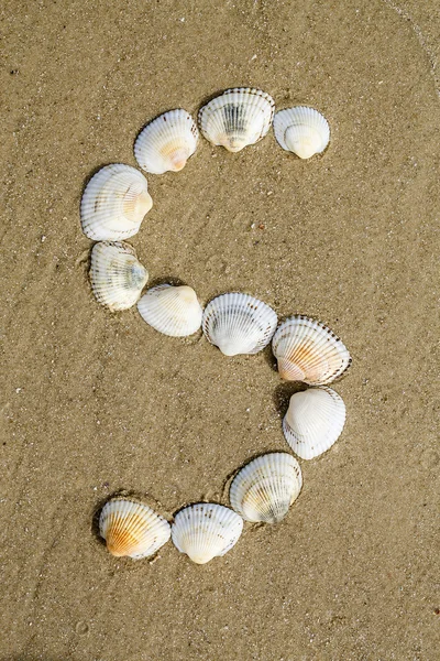 Alfabeto fatto con conchiglie di mare su fondo di sabbia senza soluzione di continuità — Foto Stock