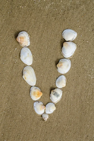 Alphabet made using sea shells on seamless sand background — Stock Photo, Image