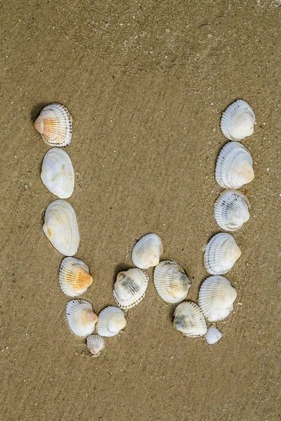 Alfabeto fatto con conchiglie di mare su fondo di sabbia senza soluzione di continuità — Foto Stock