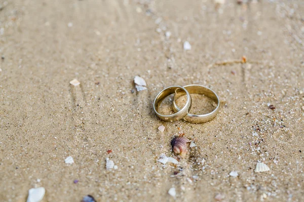 Wedding concept - wedding rings lie on sand — Stock Photo, Image