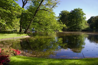 Holland Park'ta Keukenhof renkli çiçek açan laleler