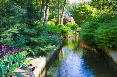 Holland Park'ta Keukenhof renkli çiçek açan laleler