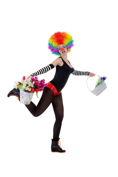 Clown houdt een mand met bloemen en een emmer van tulpen geïsoleerd op de witte achtergrond — Stockfoto