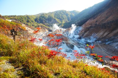 jigokudani, noboribetsu, hokkaido, Japonya cehennem Vadisi