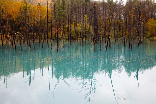 Un magnifique étang bleu à Hokkaido, Japon — Photo