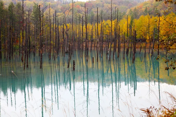 Un bellissimo stagno blu a Hokkaido, Giappone — Foto Stock