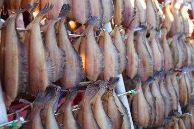 Hokkaido, Japonya içinde güneş ışığı altında kurutulmuş balık