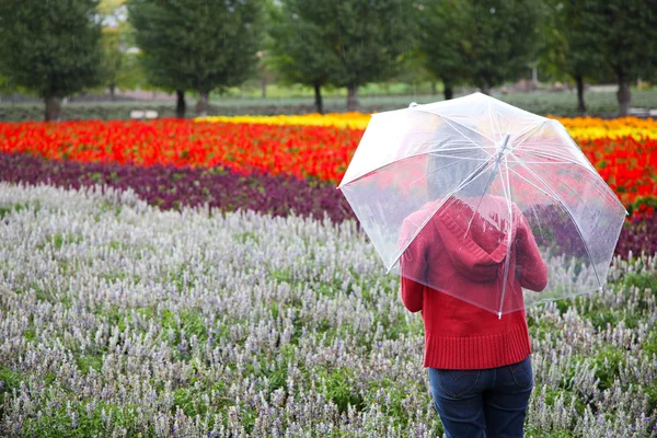 Žena s deštníkem na Tomita levandule Farm, Hokkaido — Stock fotografie