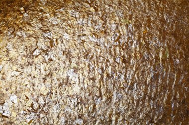 Altın yaldızlı Buda arka plan