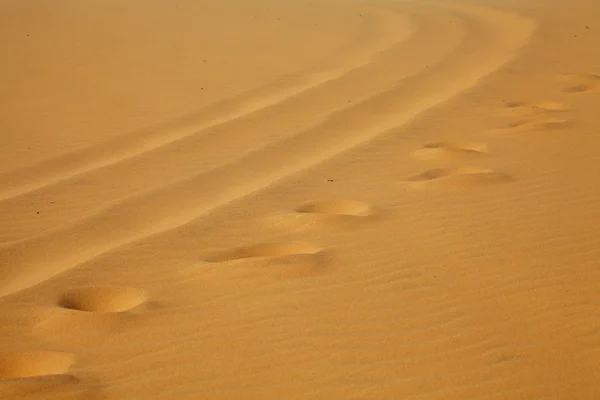 Impronte sulla sabbia — Foto Stock