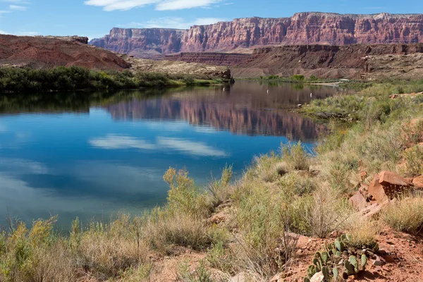 Vermillon cliffs and river — Stock Photo, Image