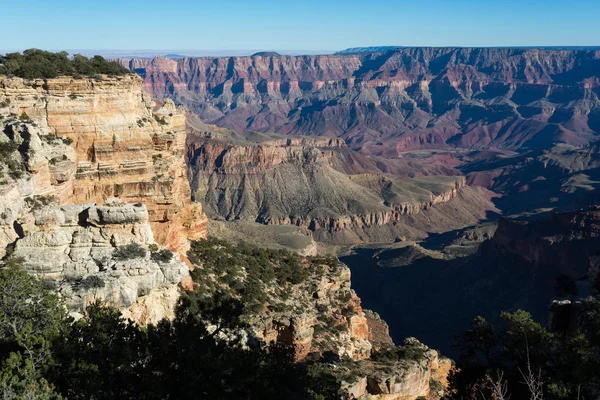 Grand canyon in the morning Stock Image