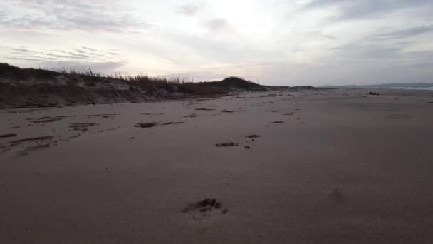 Playa en un día nublado — Vídeo de stock