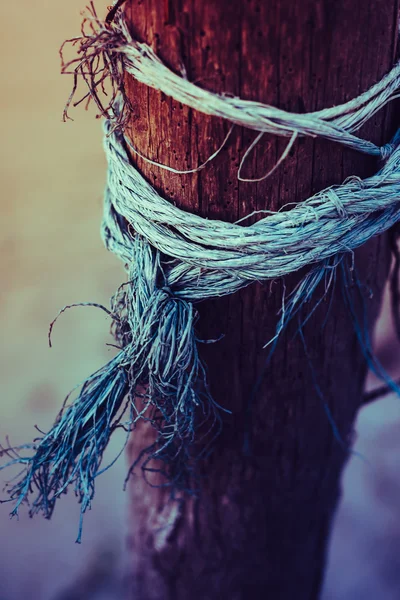 Närbild på Pole på stranden med rep twisted — Stockfoto