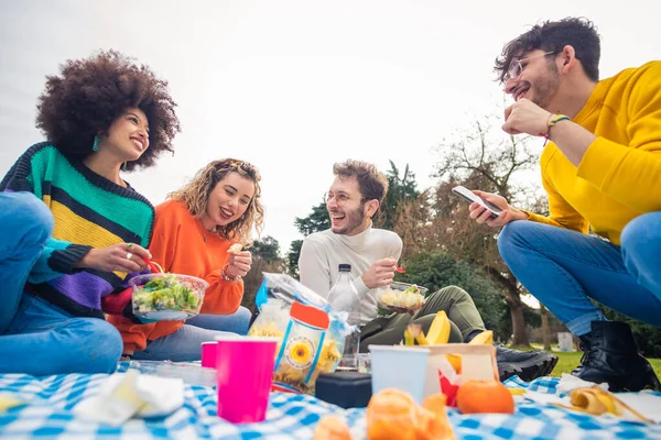 Dört Çok Irklı Arkadaş Parkta Piknik Yapıyor Sağlıklı Yiyecekler Yiyip — Stok fotoğraf