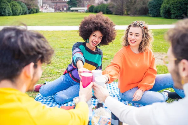 Grupo Amigos Tostadas Multiétnicas Teniendo Picnic Aire Libre Divirtiéndose Celebrando — Foto de Stock