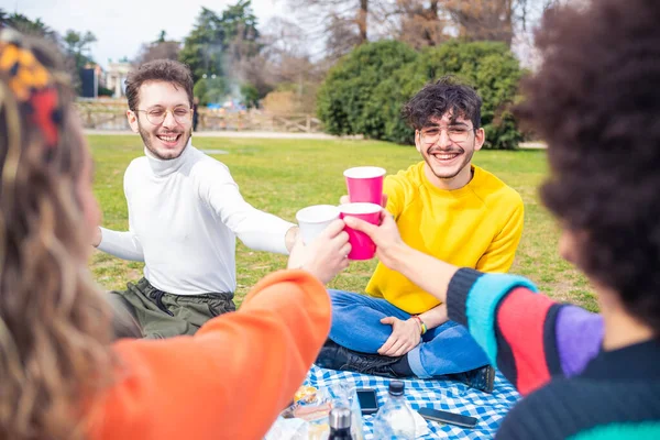 Grupp Vänner Multietnisk Skålning Picknick Utomhus Kul Fira Livet Med — Stockfoto