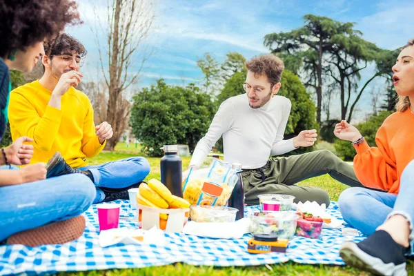 Čtyři Multietnické Přátelé Mají Piknik Parku Skupině Baví Slavit Jíst — Stock fotografie