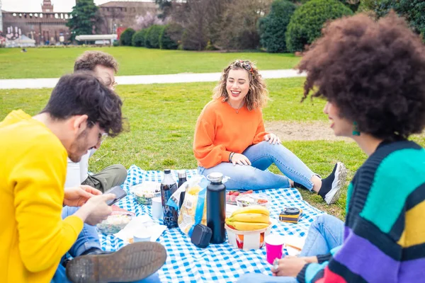 Gruppe Von Vier Multiethnischen Freunden Mit Picknick Park Feiern Essen — Stockfoto