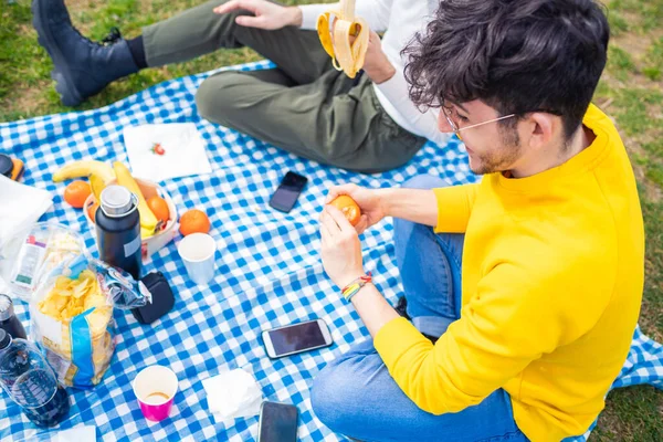 高い角度ビュー若いです男上の食事中にピクニックを持っています公園で緑の生活と良い会社を楽しんでみかんを食べる — ストック写真
